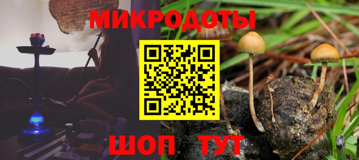 Галлюциногенные грибы GOLDEN TEACHER  Вход с VPN  Дедовск  Псилоцибиновые грибы мицелий 